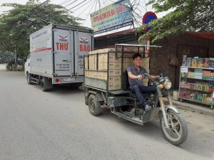 xe ba gác quận Tân Bình