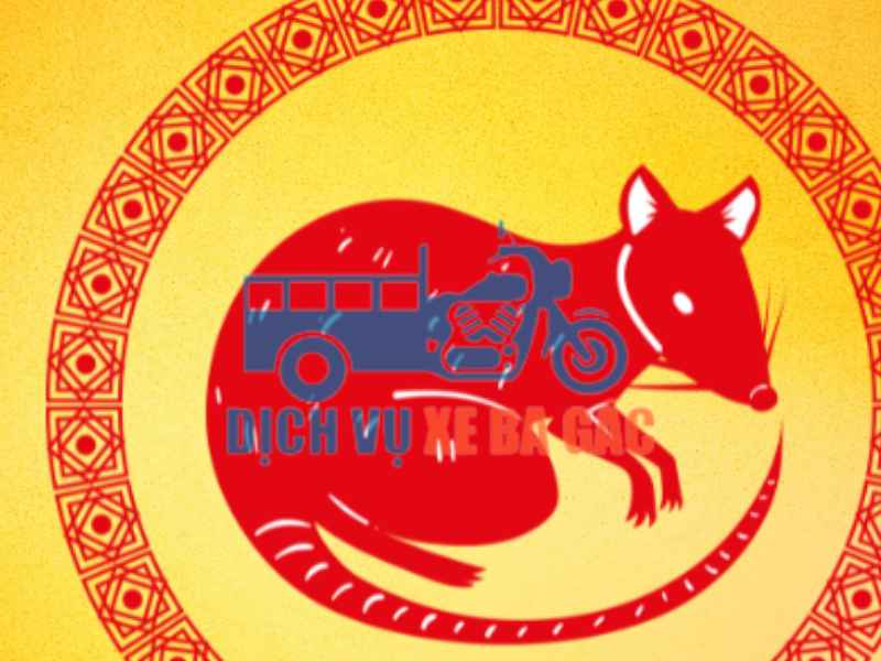 Đặc điểm tuổi Bính Tý 1996 và yếu tố phong thủy cần chú ý