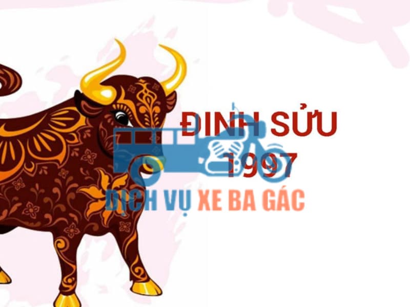 Đôi nét về tuổi Đinh Sửu 1997 - Giản Hạ Thủy