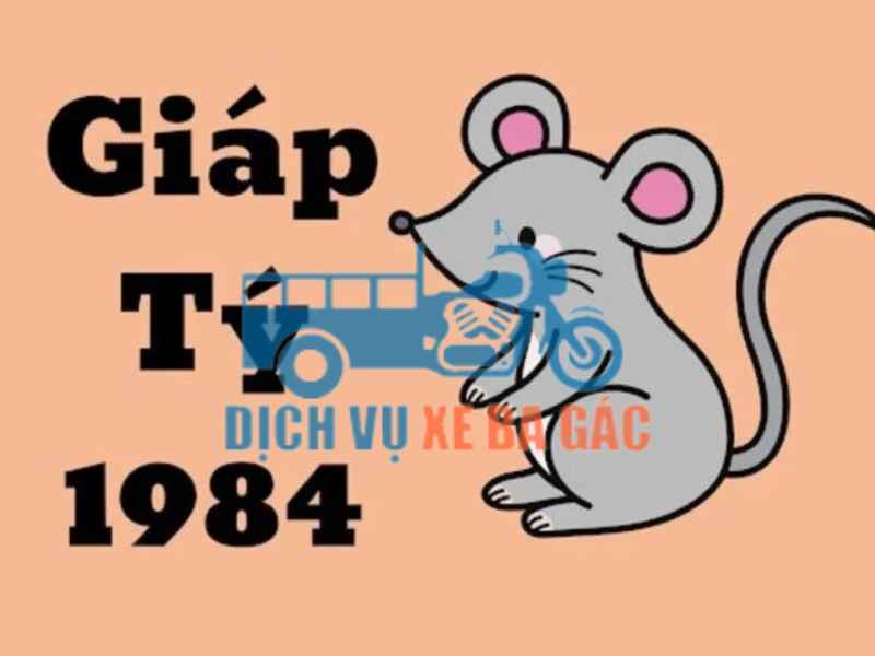 Đặc Điểm Tử Vi Tuổi Giáp Tý 1984 Ảnh Hưởng Đến Việc Chọn Ngày