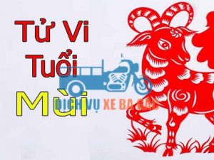 Năm 2025 tuổi Mùi có phạm hạn không?