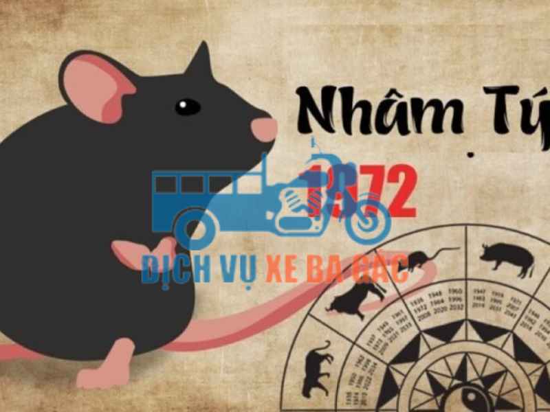 Tại Sao Người Tuổi Nhâm Tý Cần Xem Ngày Khi Chuyển Nhà?